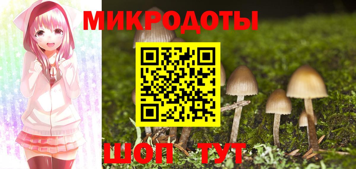 Псилоцибиновые грибы Psilocybine cubensis Новосибирск