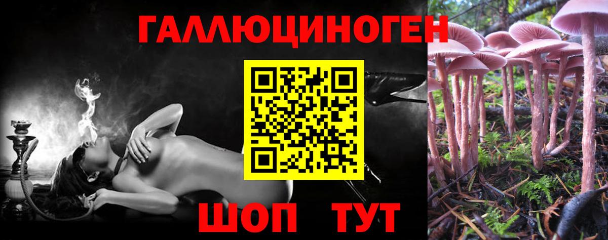 Псилоцибиновые грибы прущие грибы  Вход с VPN  Новосибирск 